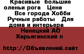 Красивые  большие оленьи рога › Цена ­ 3 000 - Все города Хобби. Ручные работы » Для дома и интерьера   . Ненецкий АО,Харьягинский п.